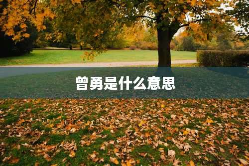 曾勇是什么意思