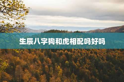 生辰八字狗和虎相配吗好吗