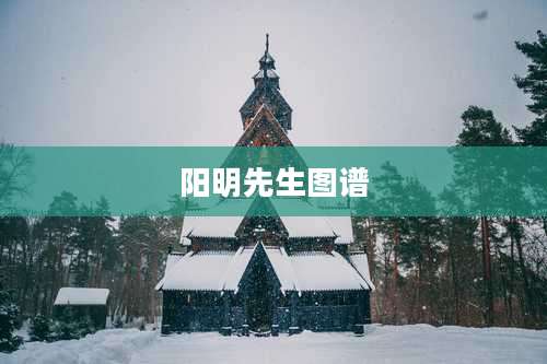 阳明先生图谱