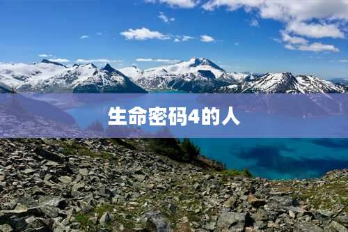 生命密码4的人