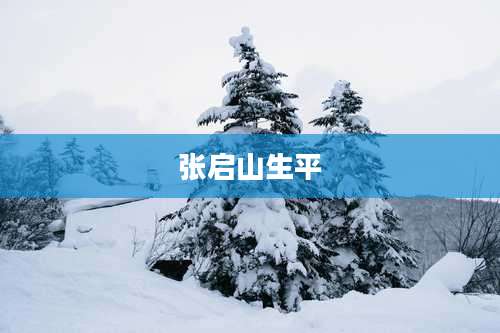 张启山生平
