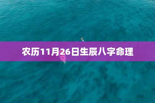 农历11月26日生辰八字命理