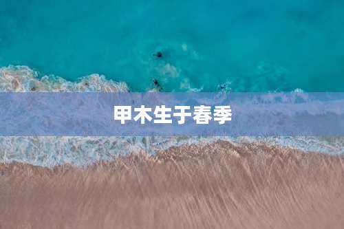 甲木生于春季