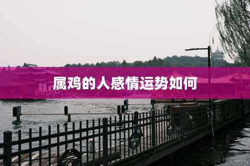 属鸡的人感情运势如何