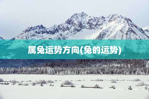 属兔运势方向(兔的运势)