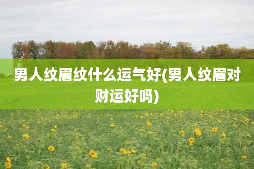 男人纹眉纹什么运气好(男人纹眉对财运好吗)