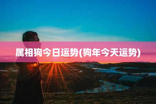 属相狗今日运势(狗年今天运势)