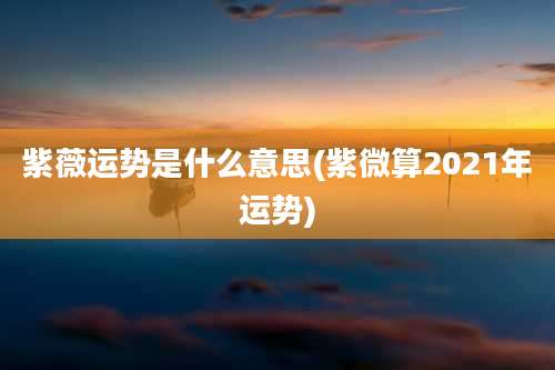 紫薇运势是什么意思(紫微算2021年运势)