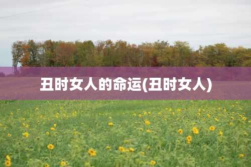 丑时女人的命运(丑时女人)