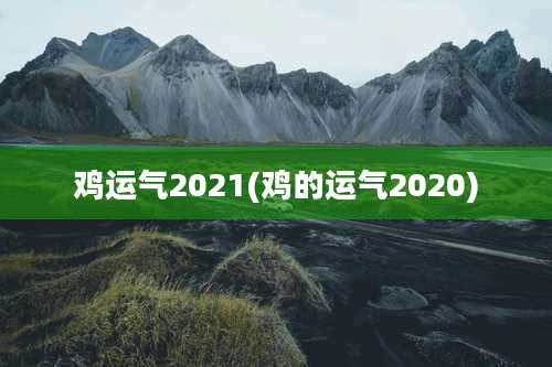 鸡运气2021(鸡的运气2020)