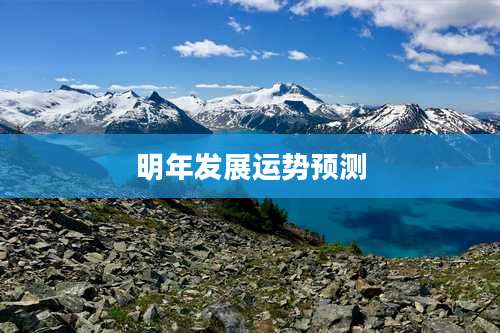 明年发展运势预测