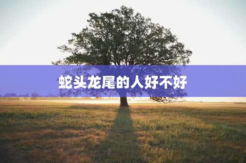 蛇头龙尾的人好不好