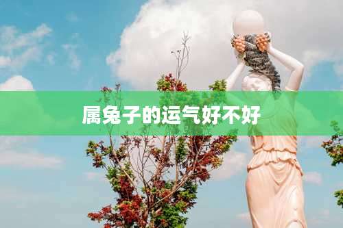 属兔子的运气好不好