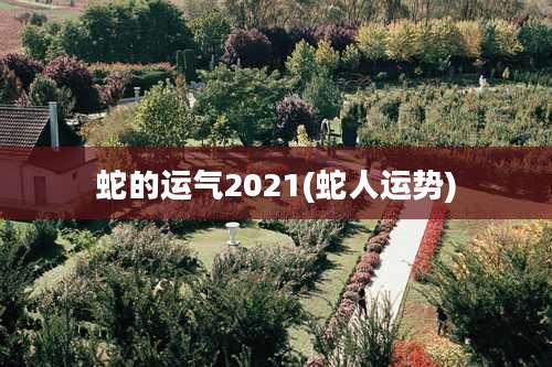 蛇的运气2021(蛇人运势)