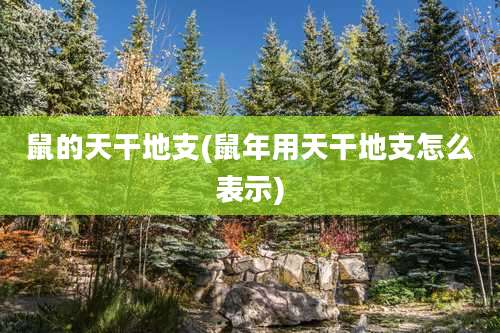 鼠的天干地支(鼠年用天干地支怎么表示)