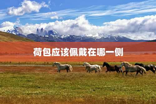 荷包应该佩戴在哪一侧