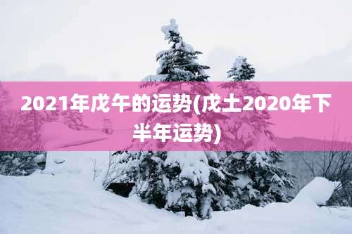 2021年戊午的运势(戊土2020年下半年运势)