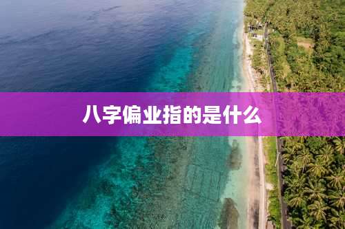 八字偏业指的是什么