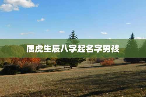 属虎生辰八字起名字男孩