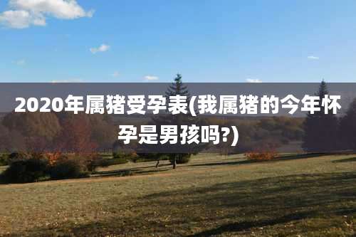 2020年属猪受孕表(我属猪的今年怀孕是男孩吗?)