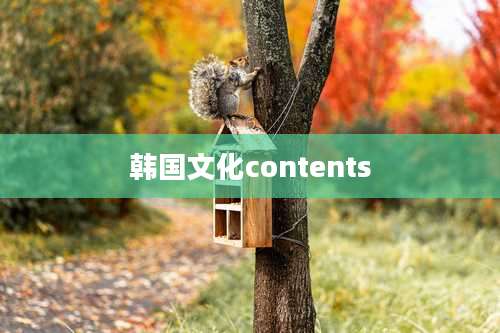 韩国文化contents