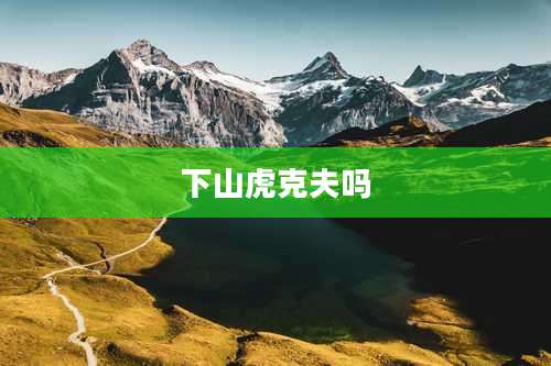 下山虎克夫吗