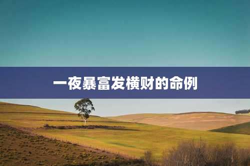 一夜暴富发横财的命例
