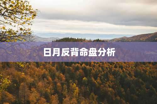 日月反背命盘分析