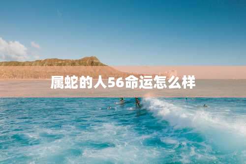 属蛇的人56命运怎么样