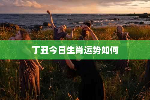 丁丑今日生肖运势如何