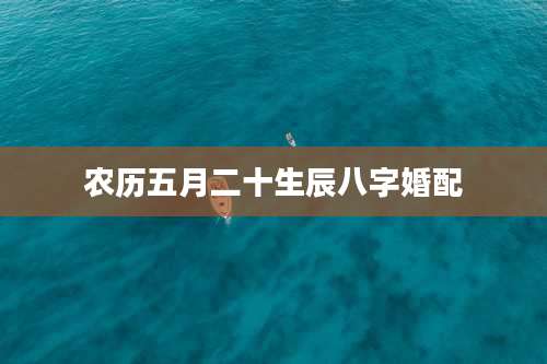 农历五月二十生辰八字婚配