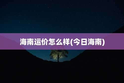 海南运价怎么样(今日海南)