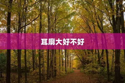 耳廓大好不好