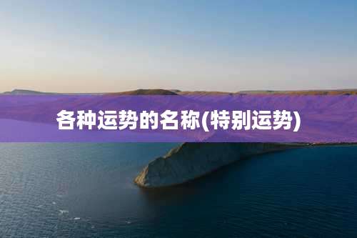 各种运势的名称(特别运势)