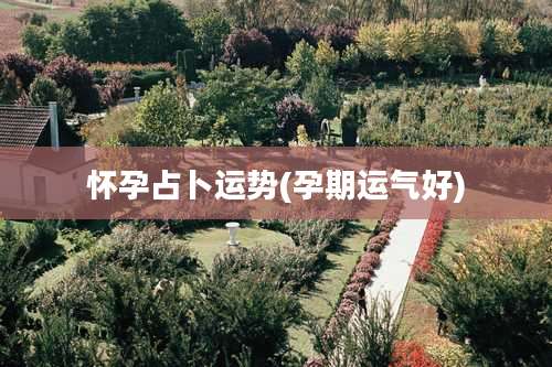 怀孕占卜运势(孕期运气好)