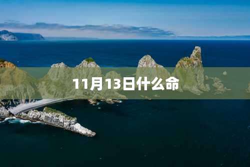 11月13日什么命