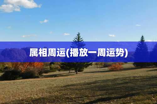 属相周运(播放一周运势)