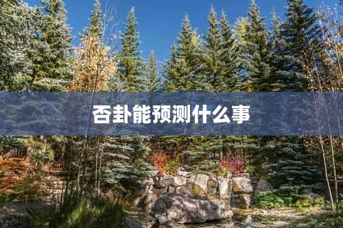 否卦能预测什么事