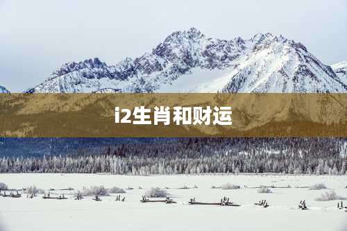 i2生肖和财运