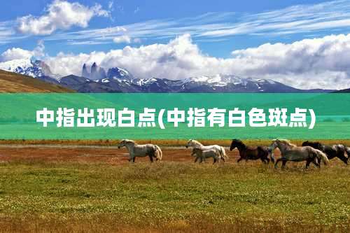 中指出现白点(中指有白色斑点)