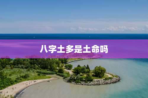 八字土多是土命吗