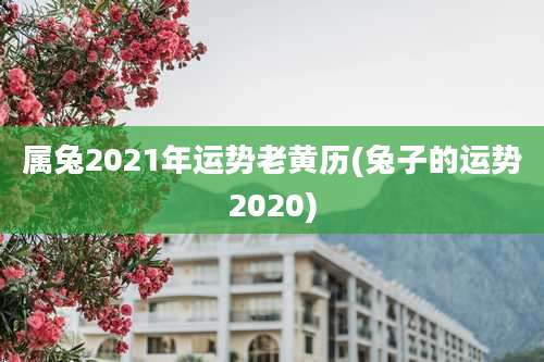 属兔2021年运势老黄历(兔子的运势2020)