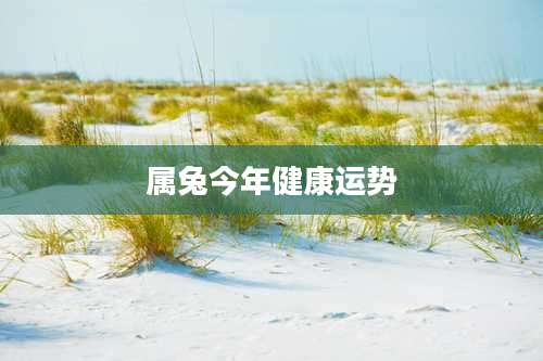 属兔今年健康运势