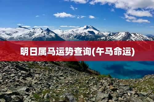 明日属马运势查询(午马命运)