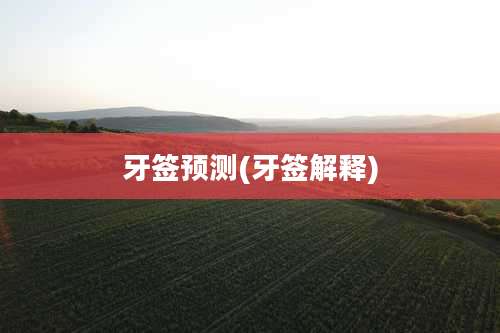 牙签预测(牙签解释)