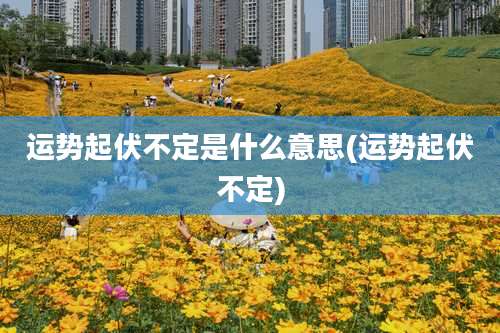 运势起伏不定是什么意思(运势起伏不定)
