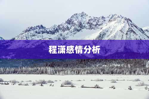 程潇感情分析