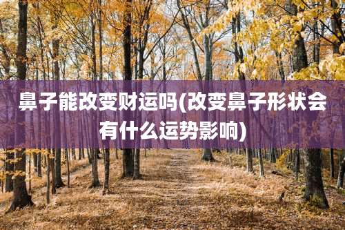 鼻子能改变财运吗(改变鼻子形状会有什么运势影响)