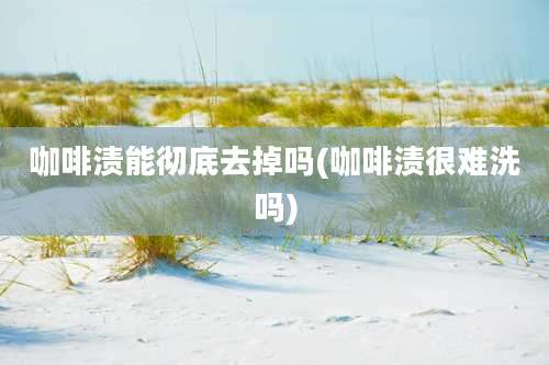 咖啡渍能彻底去掉吗(咖啡渍很难洗吗)