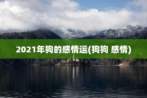 2021年狗的感情运(狗狗 感情)